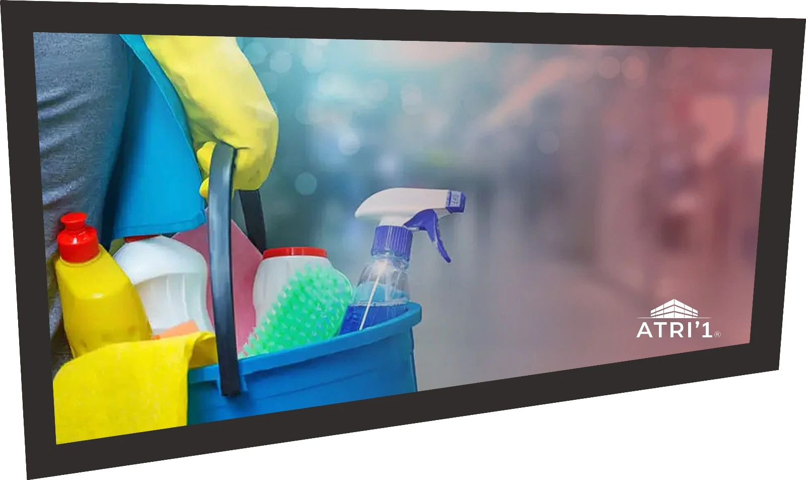 WhatsApp Image 2024-02-20 at 17.36.17